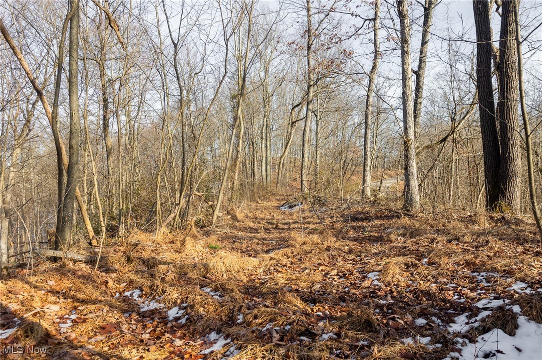 9 County Road New Matamoras, OH 45767 - Photo 31 of 48 View of nature
