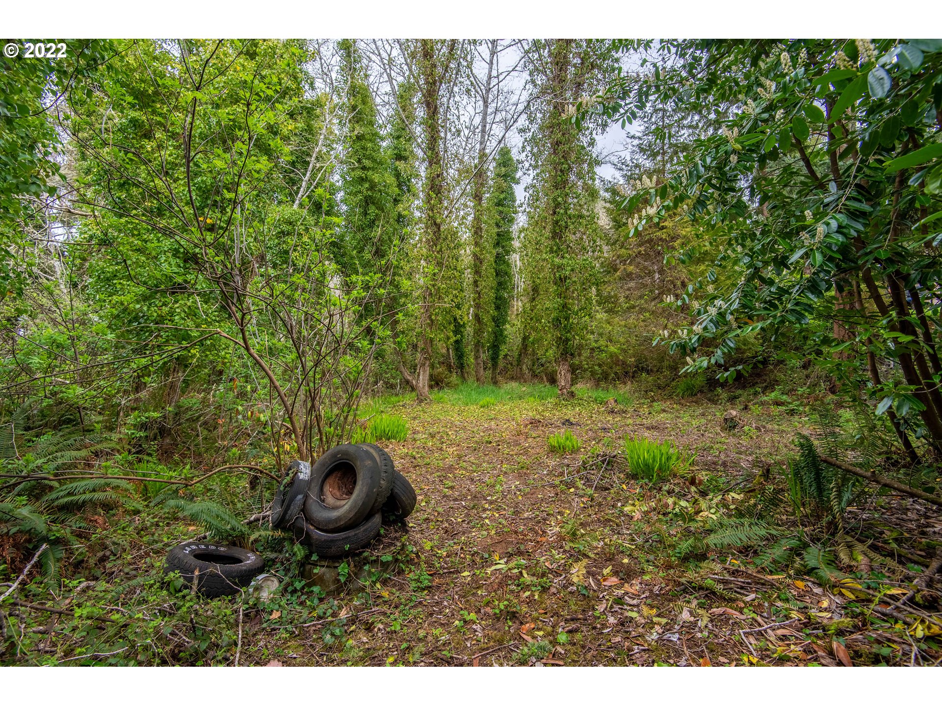 0 Wallace Road Coos Bay, OR 97420 - Photo 13 of 15 Gallery Image 13