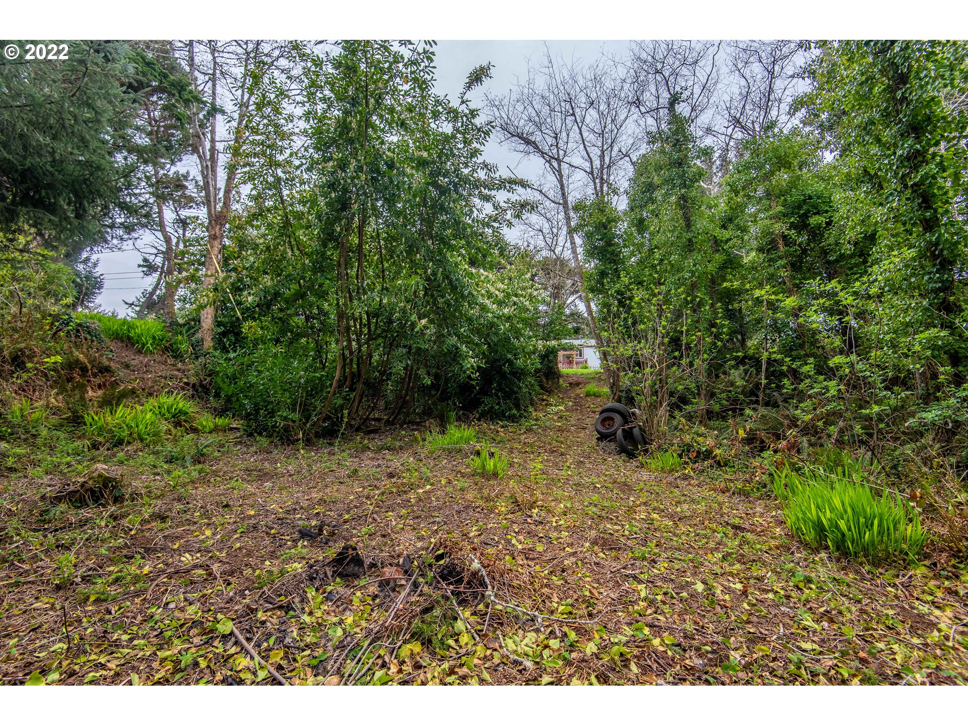 0 Wallace Road Coos Bay, OR 97420 - Photo 15 of 15 Gallery Image 15