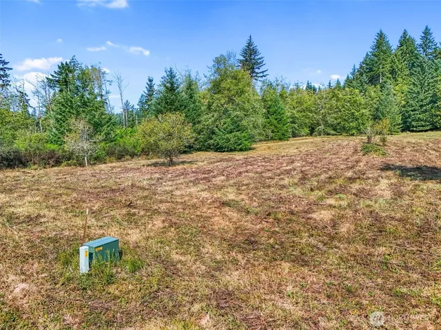 a view of a big yard with swimming pool and outdoor seating