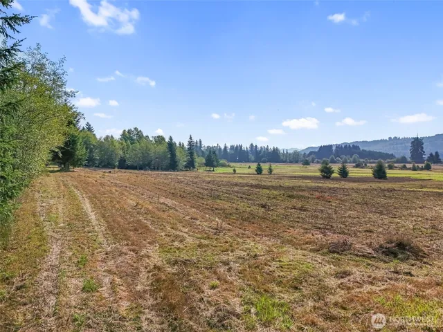 a view of an outdoor space and a yard