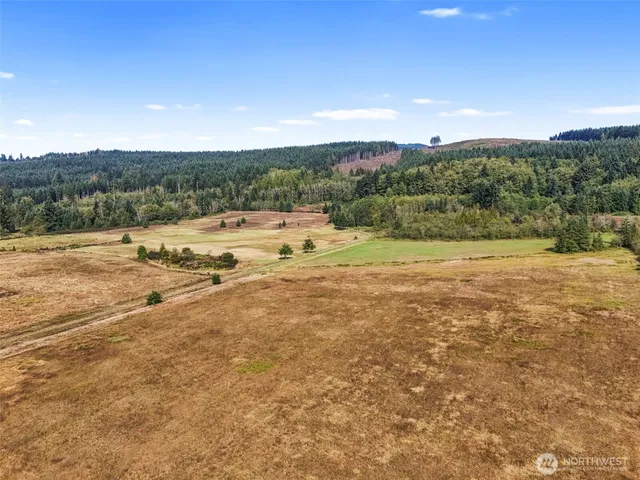 a view of an ocean with a large trees