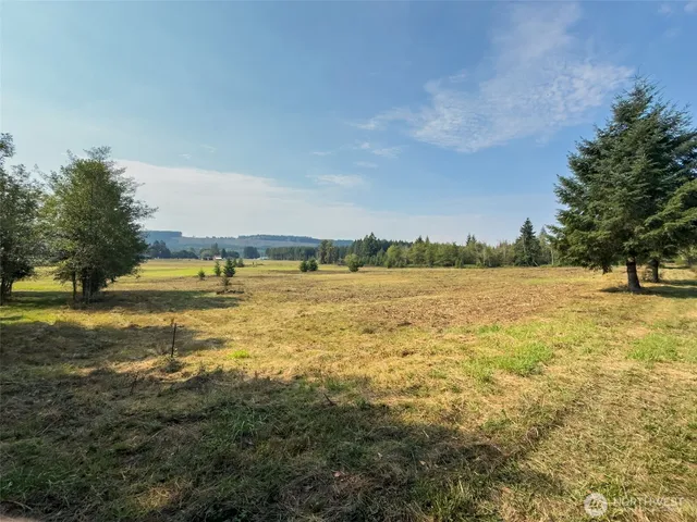 a view of lake with trees