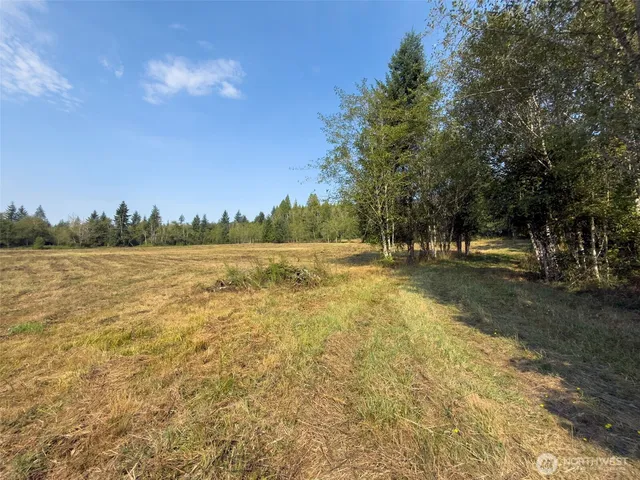 a view of a lake with houses in the back