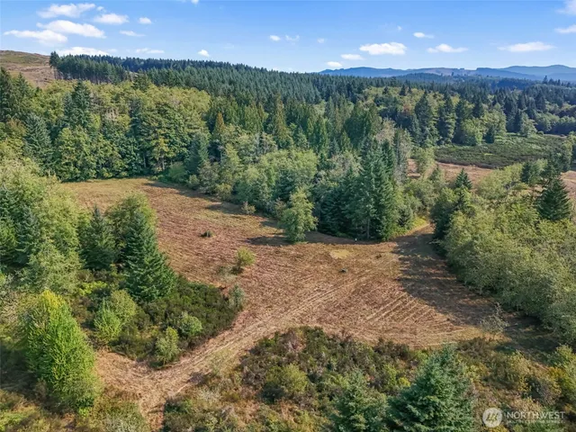 a view of a backyard of a house