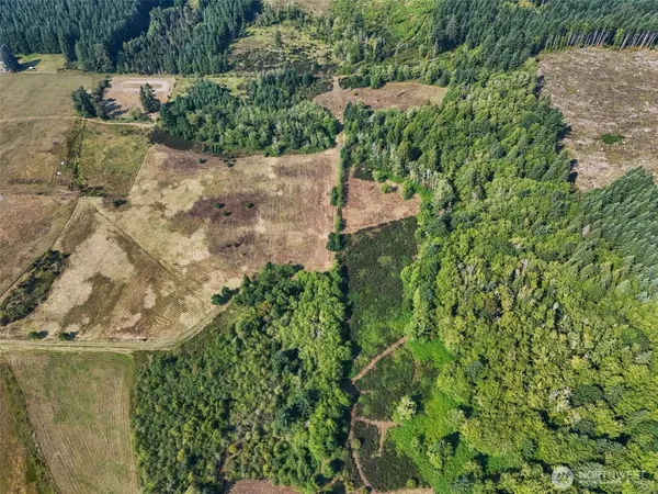 a view of a yard with plants