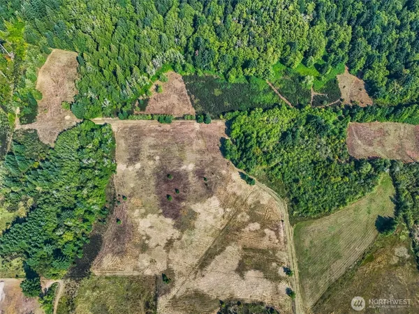 a view of yard from a window