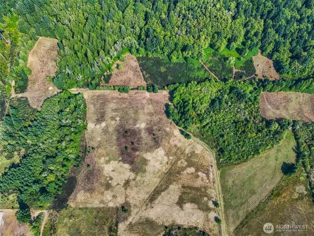 a view of yard from a window