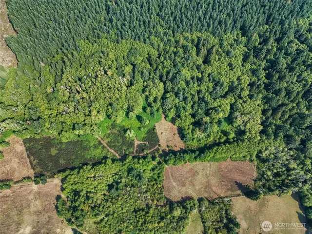 a view of a yard with plants