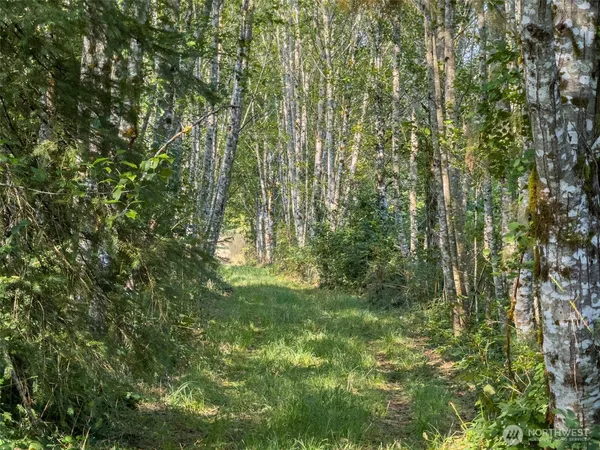 a view of yard with green space