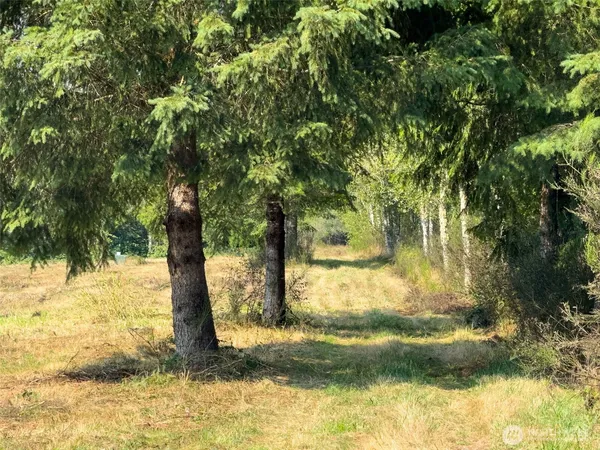 a view of a outdoor space and a yard