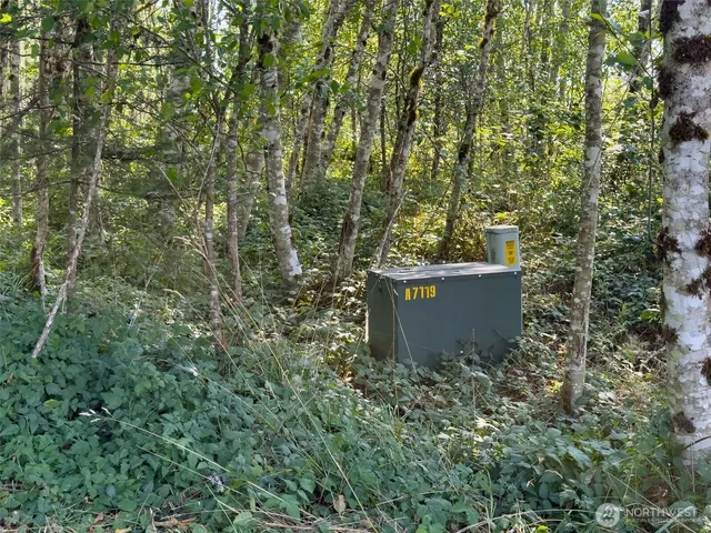 a bathroom with a sink and a vanity