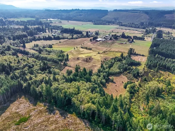 a view of a lush green hillside and houses
