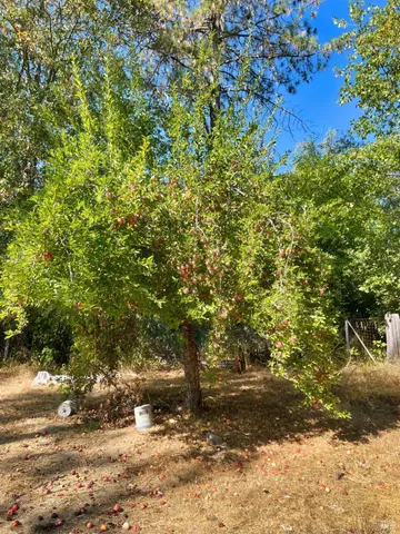 $270,000 | 44170 Lakeview Avenue, Laytonville, CA 95454