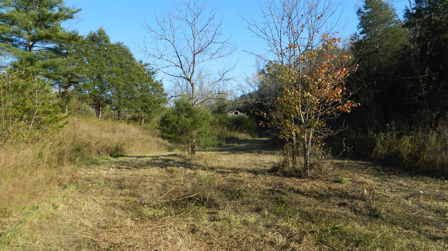 589 Judd Road Booneville, KY 41314 - Photo 4 of 67 Photo 4