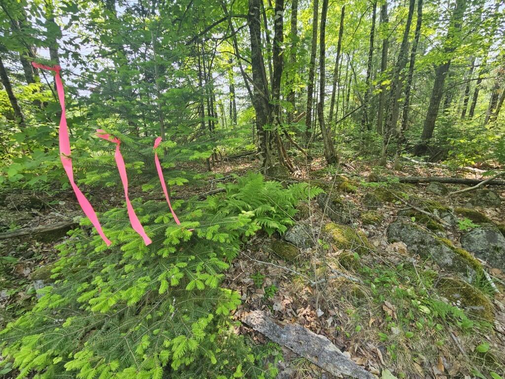 2016 Hudson Road Hudson, ME 04449 - Photo 30 of 36