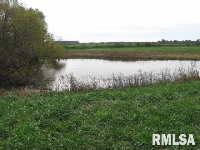 2025 Iuka Road Iuka, IL 62849 - Photo 3 of 6
