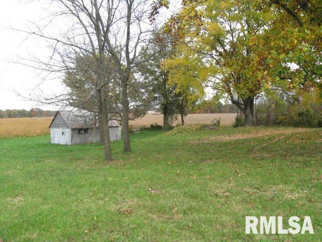 2025 Iuka Road Iuka, IL 62849 - Photo 5 of 6