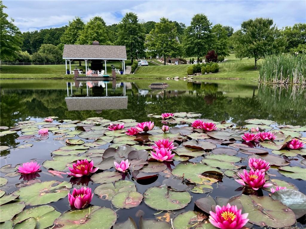 255 Camp Run Road Harmony, PA 16037 - Photo 35 of 49 a picture of flowers in the garden