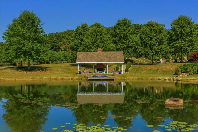 a view of a yard with a large tree
