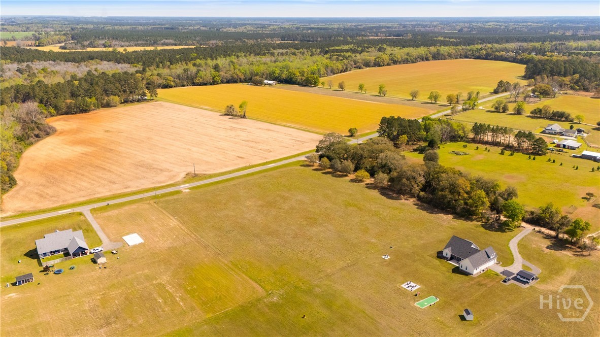0 Clevy Deloach Road Brooklet, GA 30415 - Photo 3 of 6