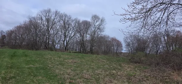 a view of a green field with wooden fence