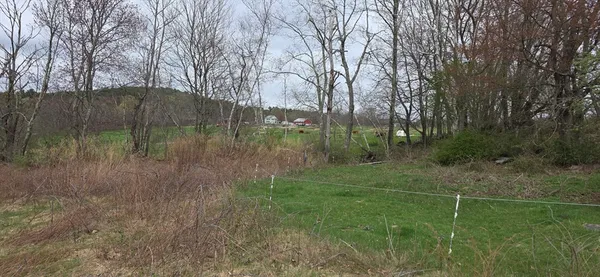 a view of a garden with a building in the background