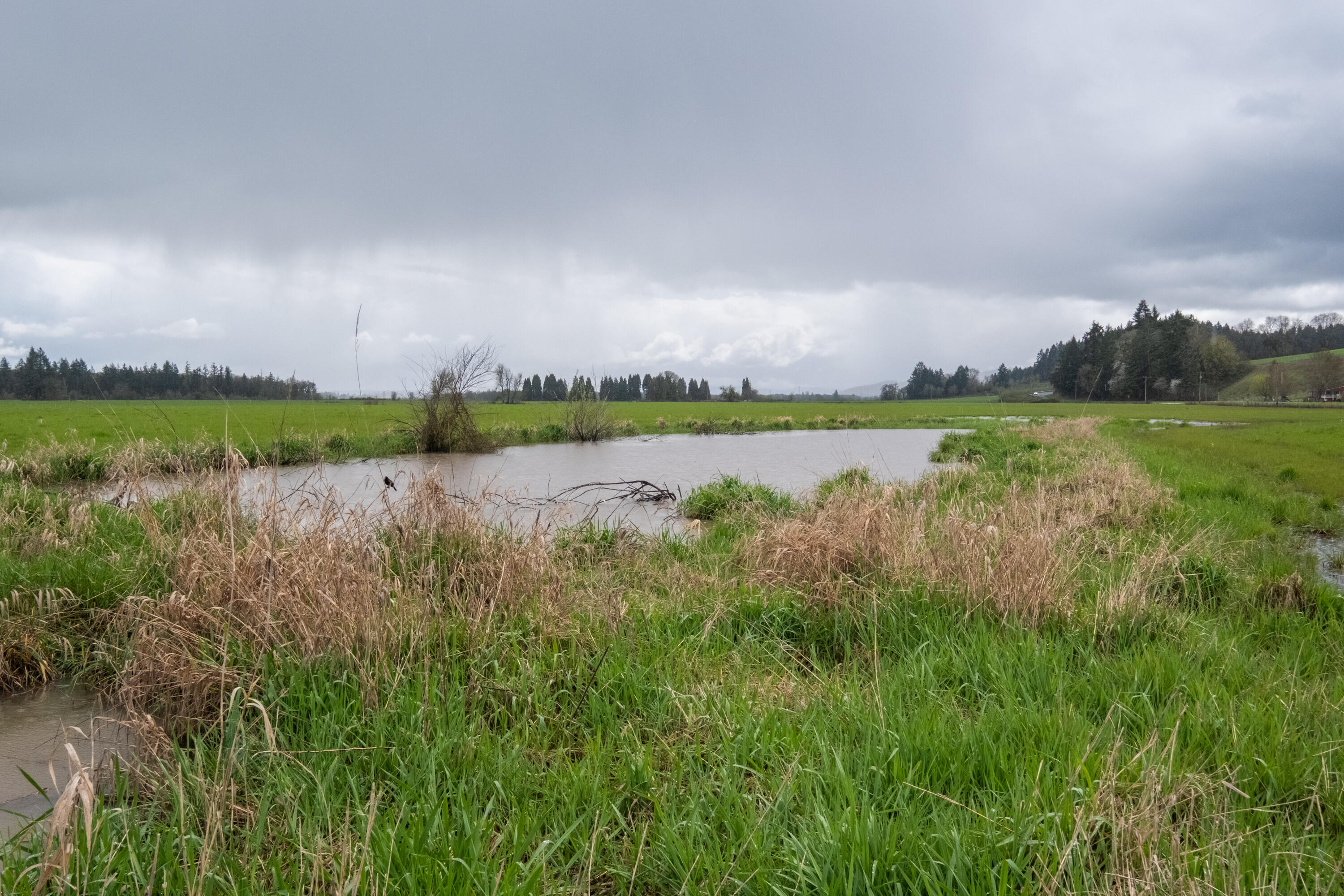 0 Applegate Trail Junction City, OR 97448 - Photo 18 of 27 a view of a lake with houses in the back