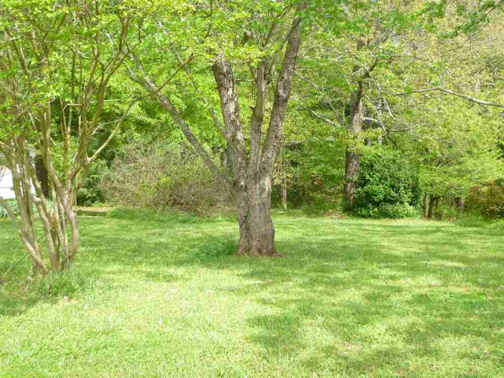 172 Pistol Club Road Easley, SC 29640 - Photo 15 of 17