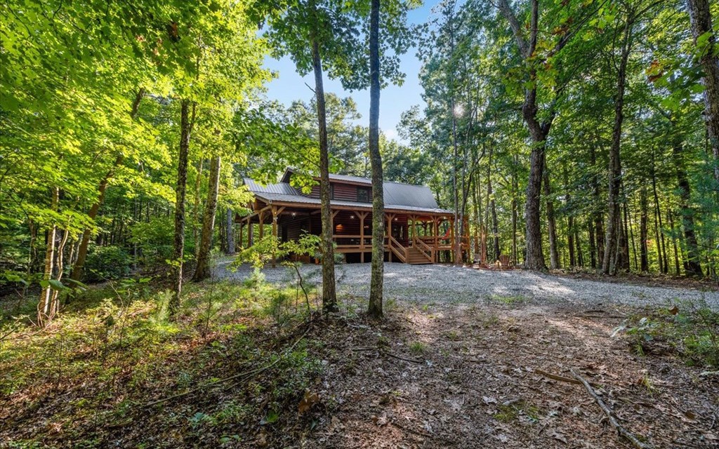 150 Laurel Trace Blue Ridge, GA 30513 - Photo 3 of 39