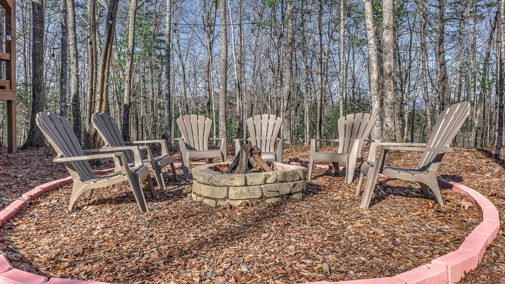 150 Laurel Trace Blue Ridge, GA 30513 - Photo 33 of 39