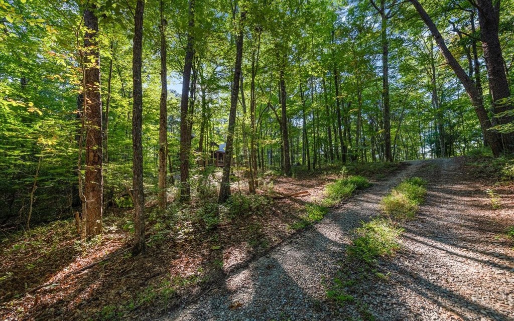 150 Laurel Trace Blue Ridge, GA 30513 - Photo 37 of 39