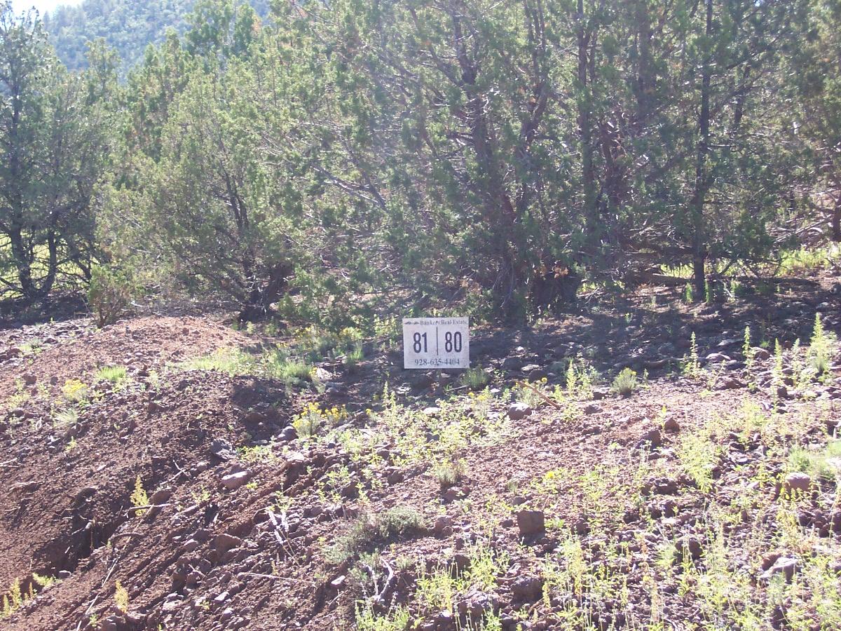 2352 East Fir Road Williams, AZ 86046 - Photo 1 of 4 Nicely treed