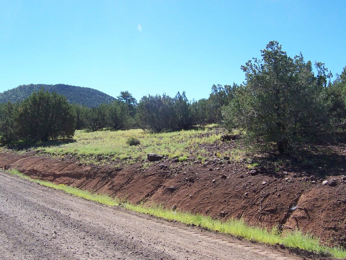 2352 East Fir Road Williams, AZ 86046 - Photo 3 of 4 000_2167