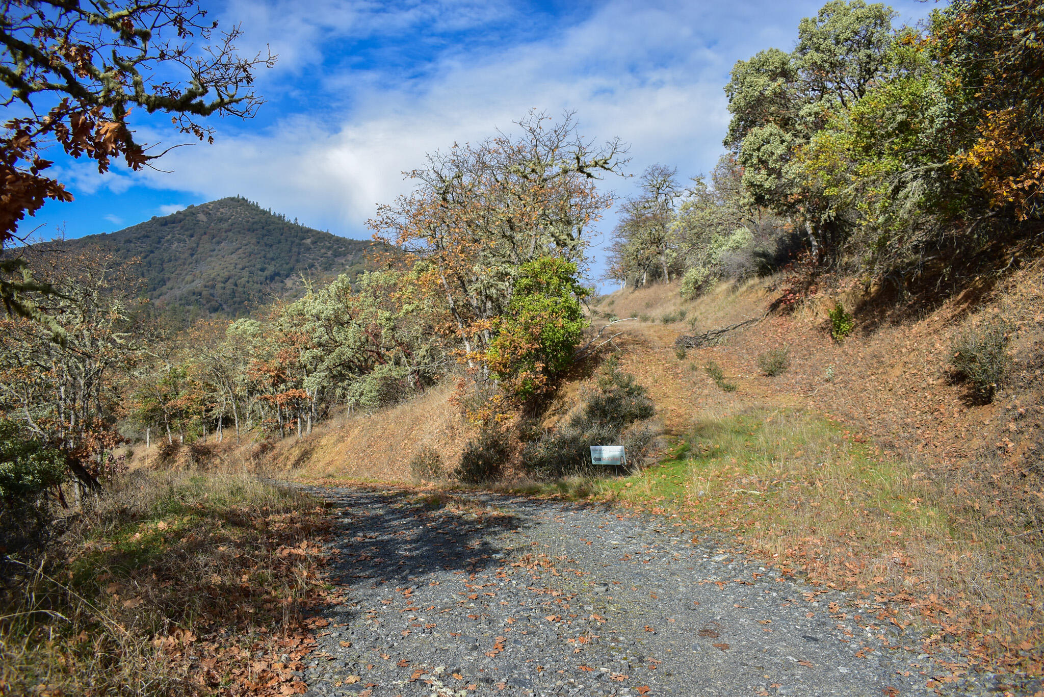 1379 Humbug Creek Road Jacksonville, OR 97530 - Photo 12 of 25 DSC_0011