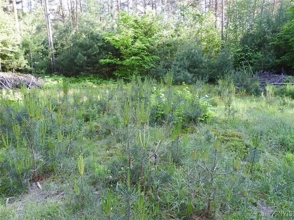 $72,500 | 5206 Rugby Road, Greig, NY 13312