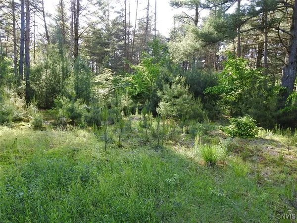 $72,500 | 5206 Rugby Road, Greig, NY 13312