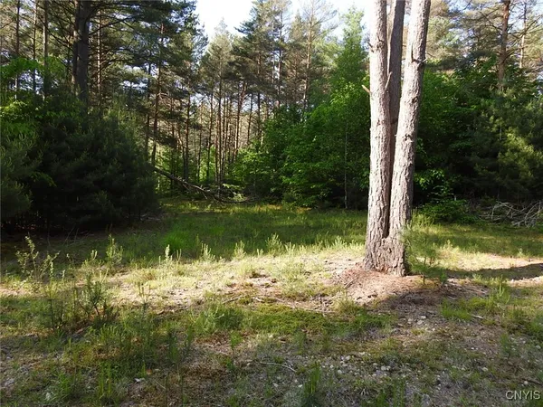 $72,500 | 5206 Rugby Road, Greig, NY 13312
