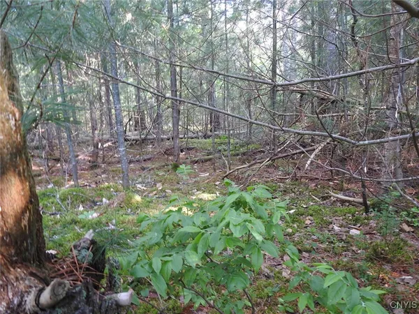 $72,500 | 5206 Rugby Road, Greig, NY 13312