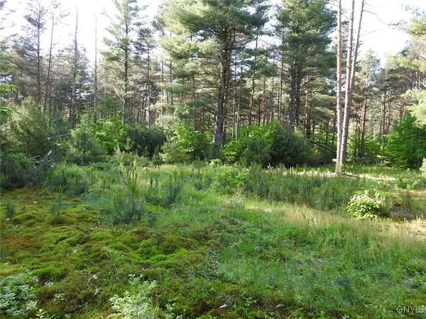 $72,500 | 5206 Rugby Road, Greig, NY 13312