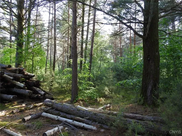 $72,500 | 5206 Rugby Road, Greig, NY 13312