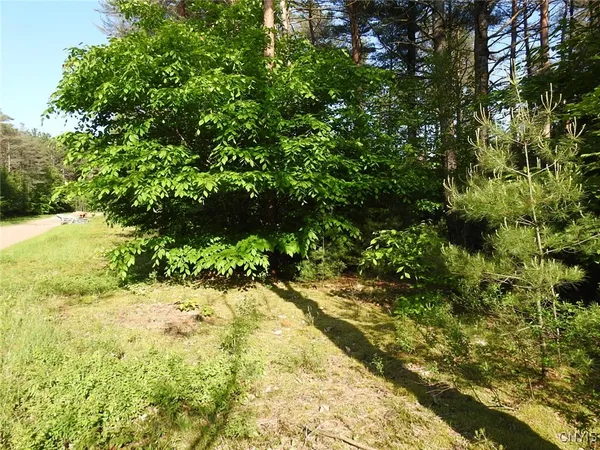 $72,500 | 5206 Rugby Road, Greig, NY 13312