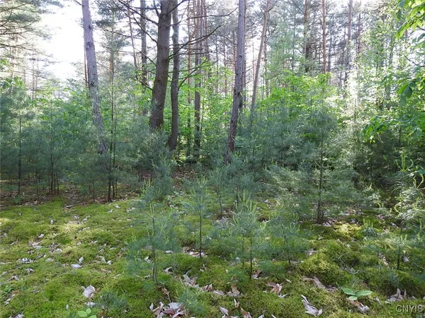 $72,500 | 5206 Rugby Road, Greig, NY 13312