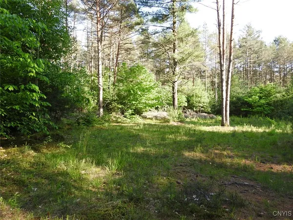 $72,500 | 5206 Rugby Road, Greig, NY 13312