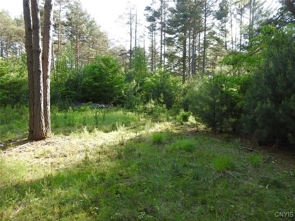 $72,500 | 5206 Rugby Road, Greig, NY 13312