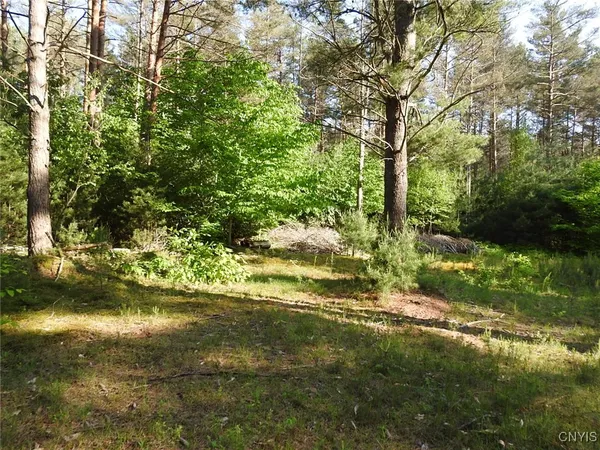 $72,500 | 5206 Rugby Road, Greig, NY 13312