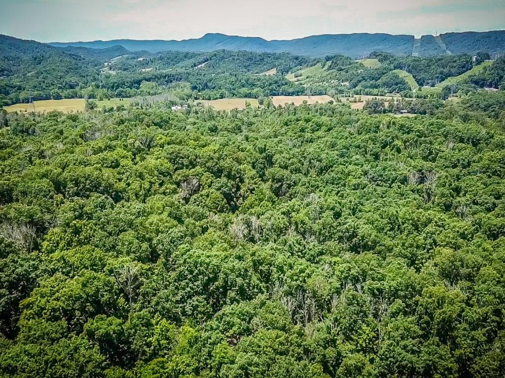 0 Murrell Road Kingsport, TN 37660 - Photo 11 of 12 Photo 11