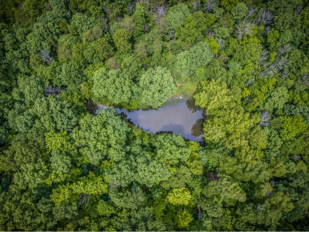 0 Murrell Road Kingsport, TN 37660 - Photo 8 of 12 Photo 8