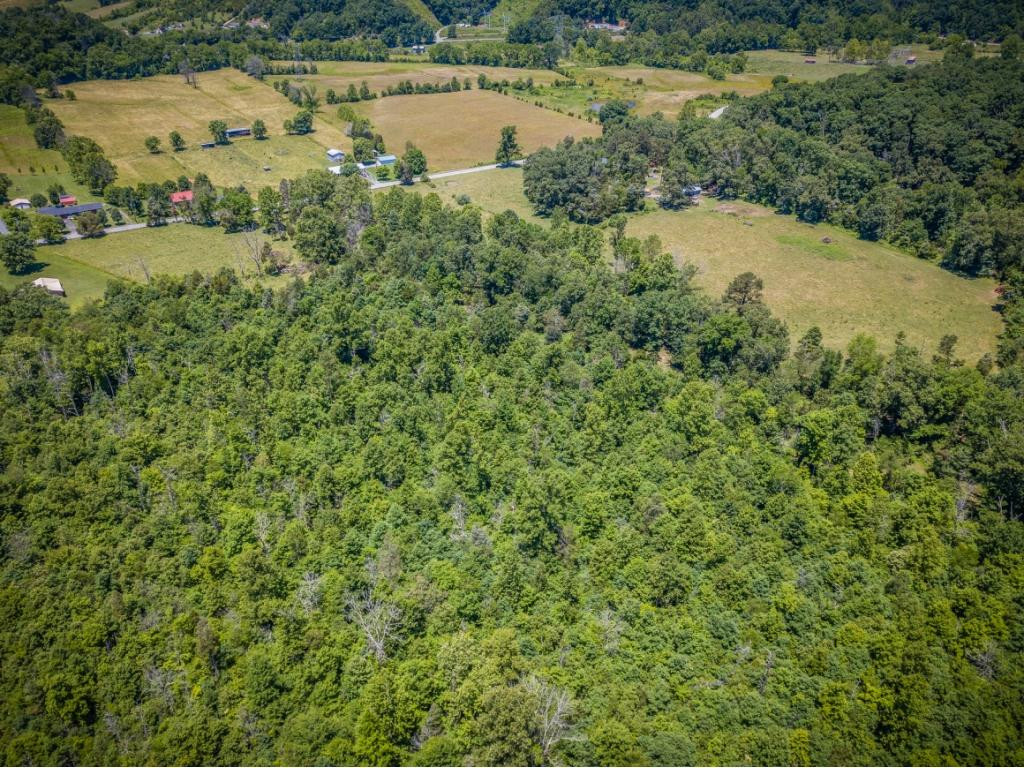 0 Murrell Road Kingsport, TN 37660 - Photo 10 of 12 Photo 10