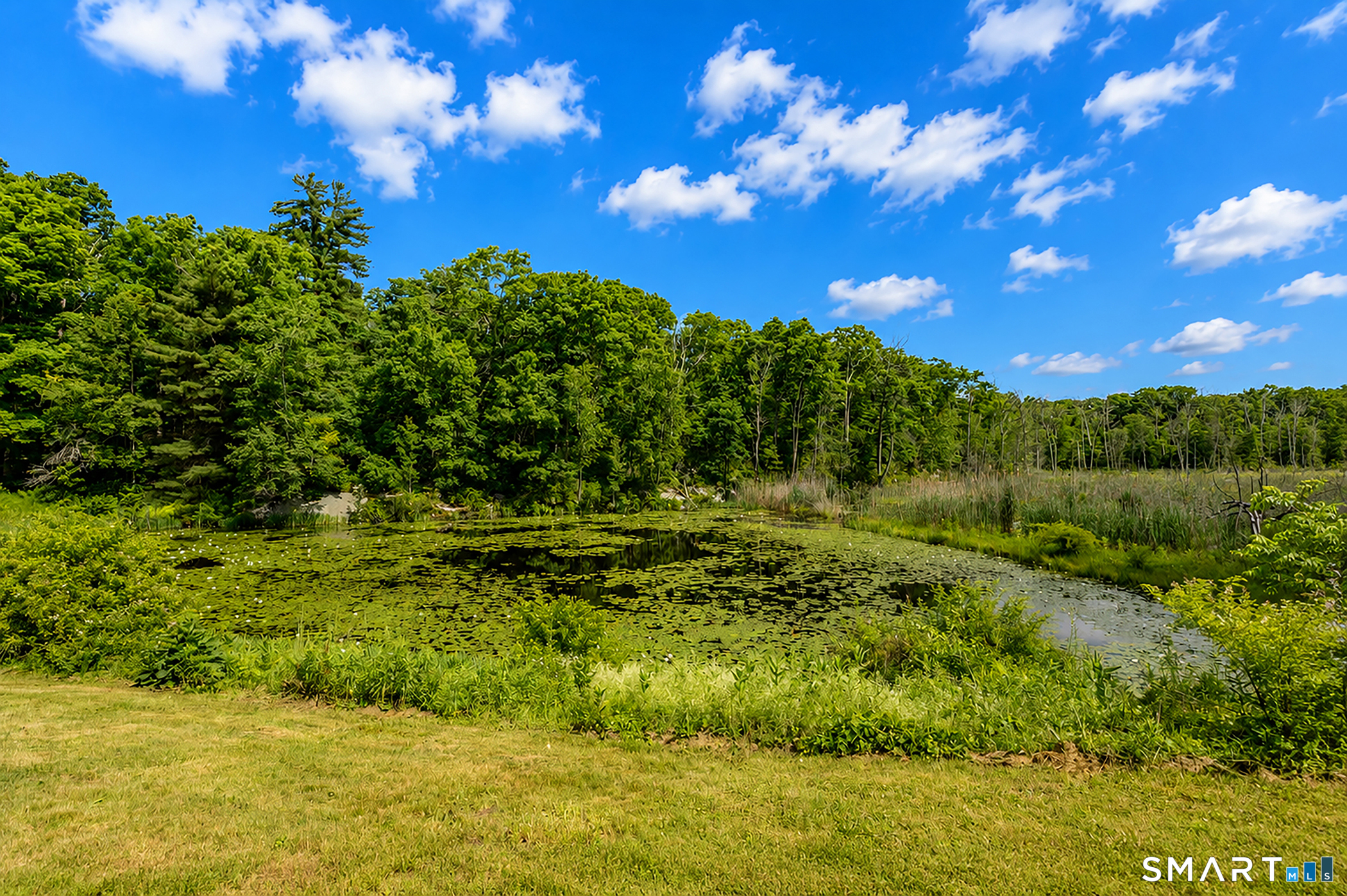 82 West Wds Road, Unit 2 Sharon, CT 06069 - Photo 24 of 32